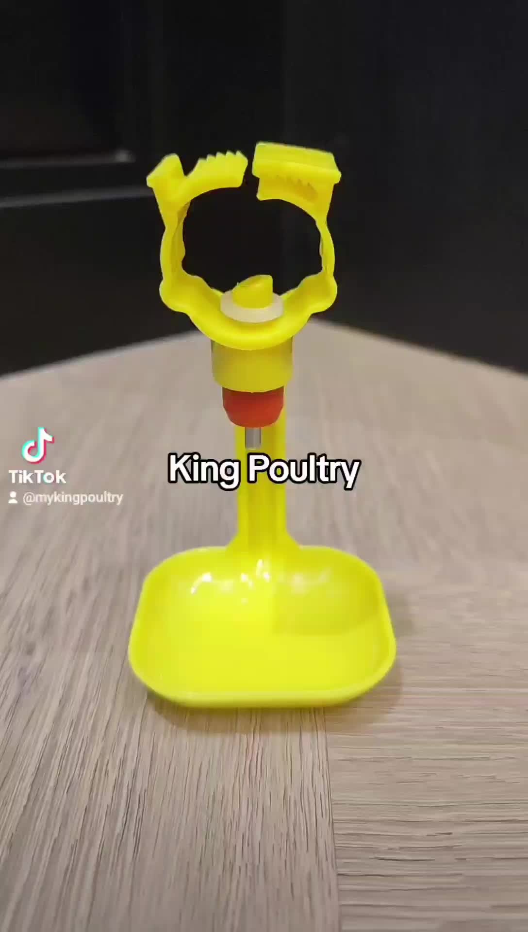 nipel ayam warna kuning paket 100 biji