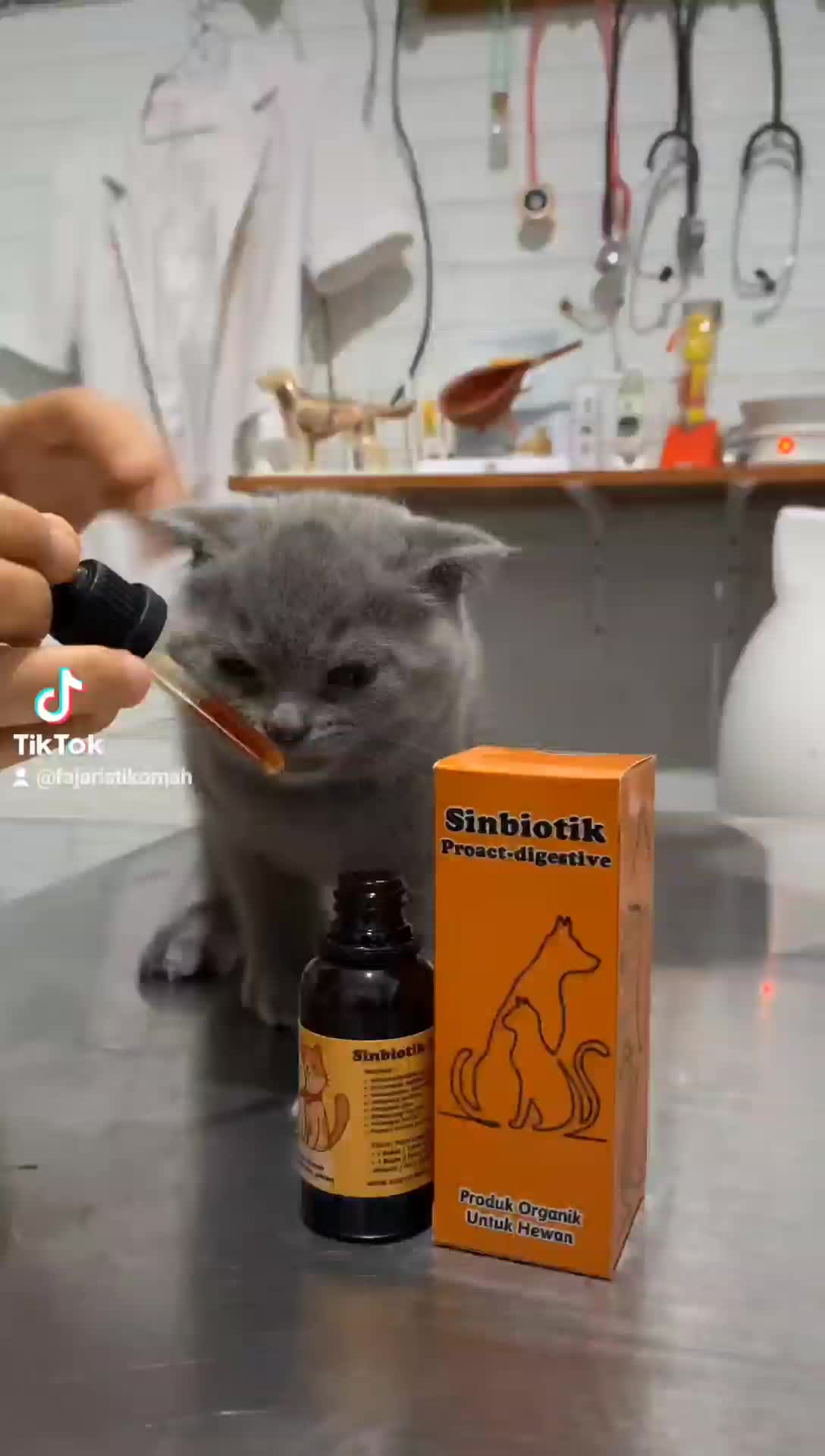Sinbiotik Proact_digestiv 15ml makanan bayi kucing
