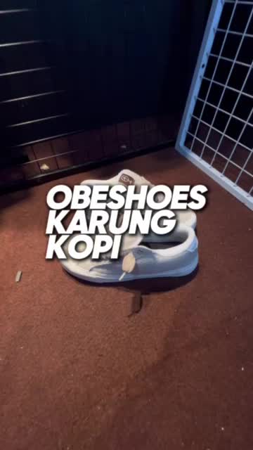 Brulee Project - Obeshoes - Spesial Rilis | Sepatu Gendut | Sepatu Unisex Pria Wanita | Rekomendasi Sepatu Lokal keren |  Sepatu Sekolah