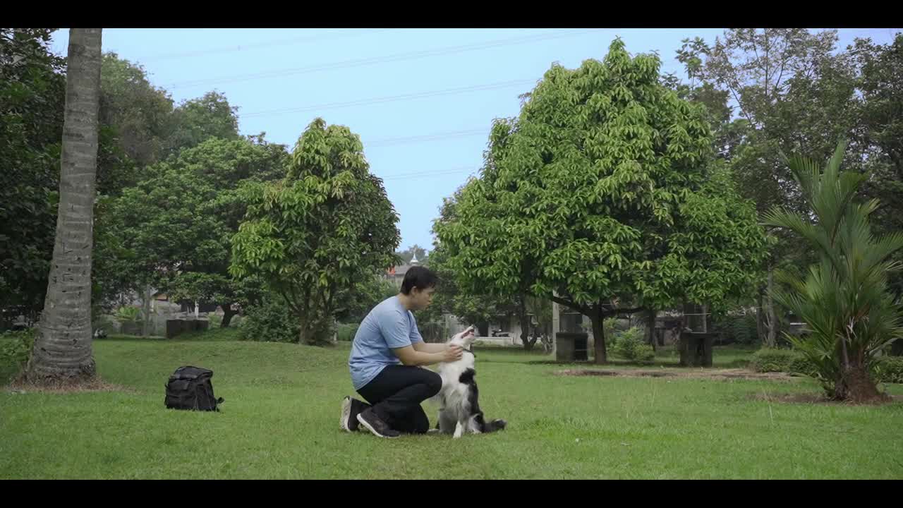 Dog Choize Dry Food Makanan Anjing Kering 800Gr