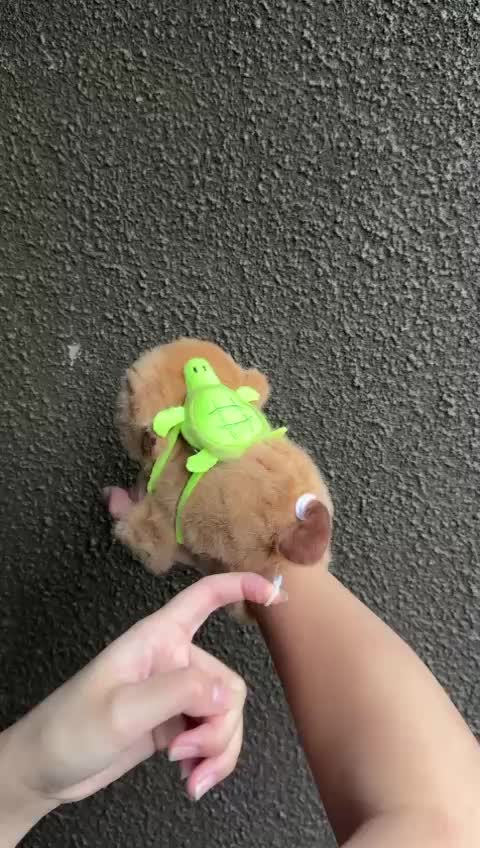 [READY STOCK 3TIP.SBY] CAPY MEDHOK EKOR BUNTUT GOYANG | CAPYBARA MAXWELL MEDHOK | CAPYBARA YANG DIPAKAI MAXWELL | BONEKA CAPYBARA NEMPLOK | BONEKA CAPYBARA MAXWELL MEDHOK