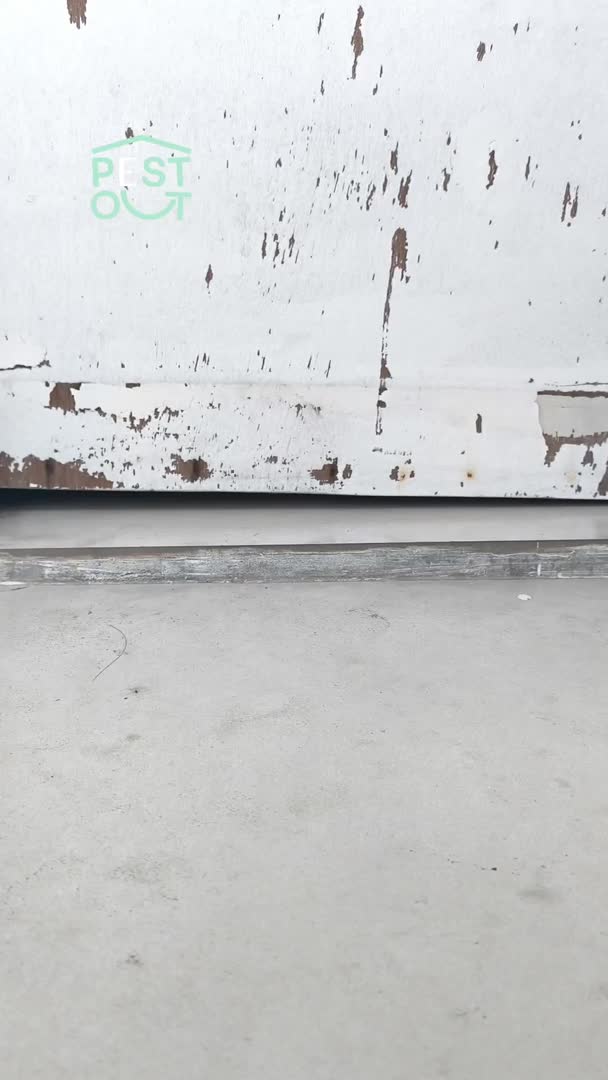 Pest Out Lis Penutup Celah Pintu Penghalang Debu dan Serangga Door Bottom Seal 1 Meter