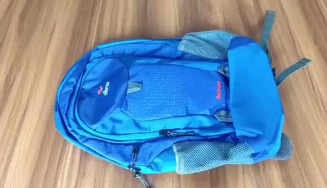 Elbrus - Tas Ransel Multifungsi Backpack Detroid 30L Free Rain Cover Bag