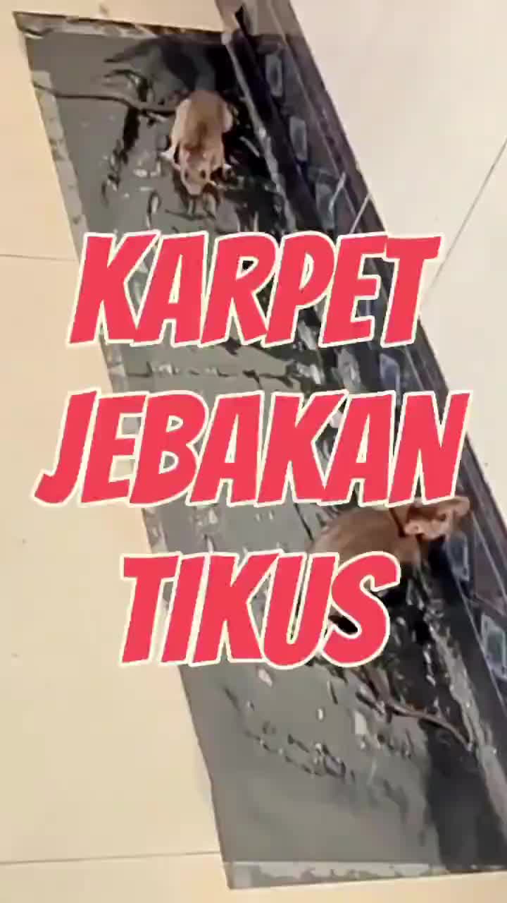 1PCS/5PCS/10PCS/ 0.6 / 1.2M /Lem Perangkap Tikus Lem Jebakan Tikus Pembasmi Tikus/ Perangkap Jebakan Lem Tikus Jumbo Super Besar Kuat dan Aman /