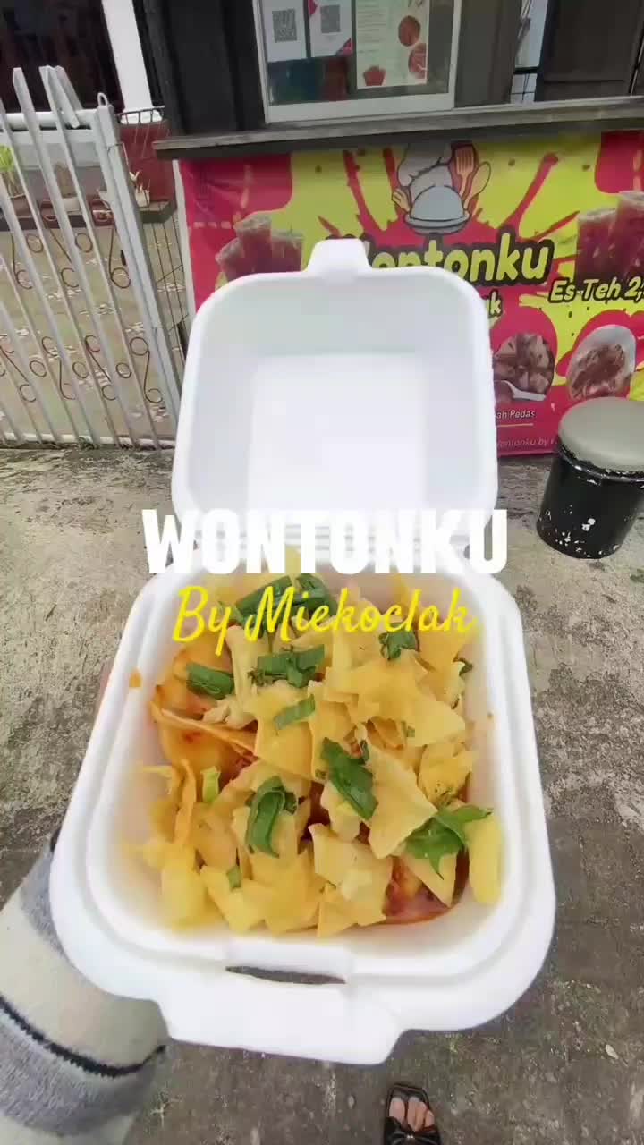 wonton by wontonky by miekoclak 1 pouch Frozen