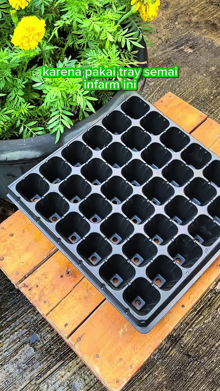 INFARM -  Tray Semai Benih Bahan Plastik  Premium Ukuran 32 , 104 dan 288 Lubang Tanaman Media