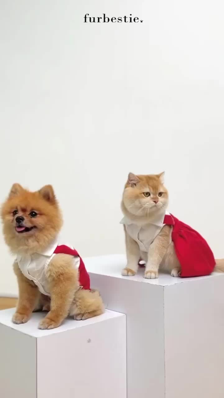 Furbestie by Pomapoo - Baju Kucing dan Baju Anjing  Fried Chicken Shirt & Dress