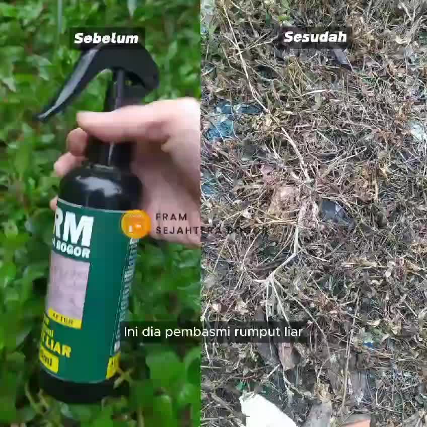 PEMBASMI RUMPUT LIAR, GULMA 5liter (siap pakai tidak perlu tambah air)