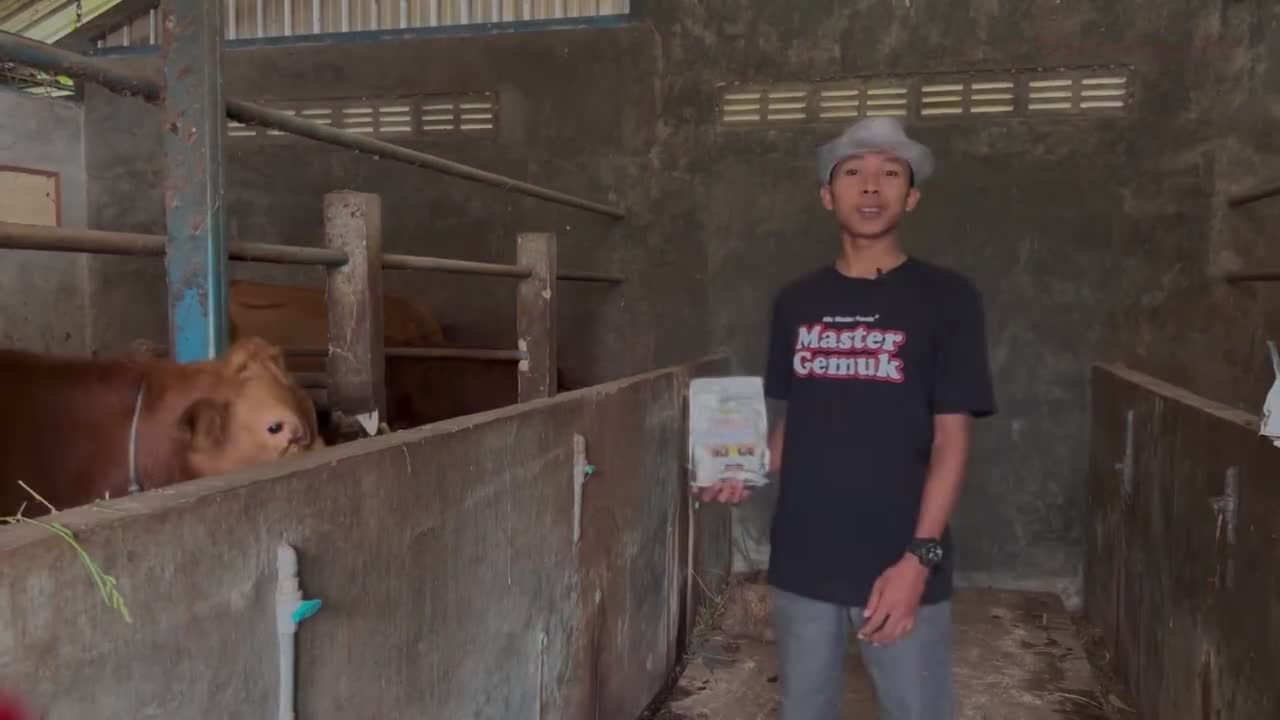 PREMIX PENGGEMUK SAPI KAMBING JANTAN PREMIUM - SUPER TOP PENGGEMUKKAN - campuran konsentrat