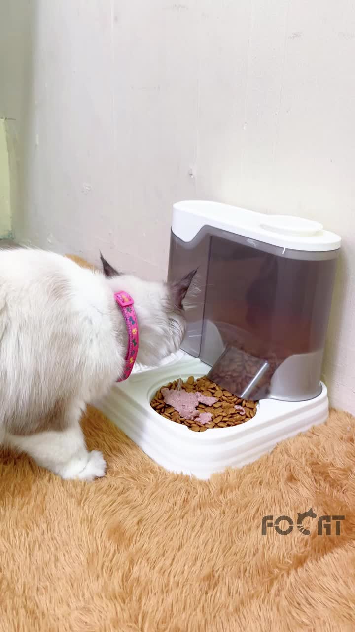 FOCAT Dispenser Makan & Minum Kucing Anjing 2IN1 M39 Pet Feeder Otomatis / Tempat Makan Minum Hewan
