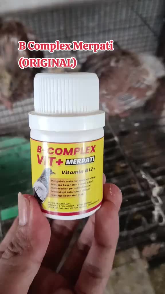 !! Vitamin Merpati B COMPLEX VIT+ Balap Kolong Tinggi Pos Tomprang Hias dll - Hewan Tanam