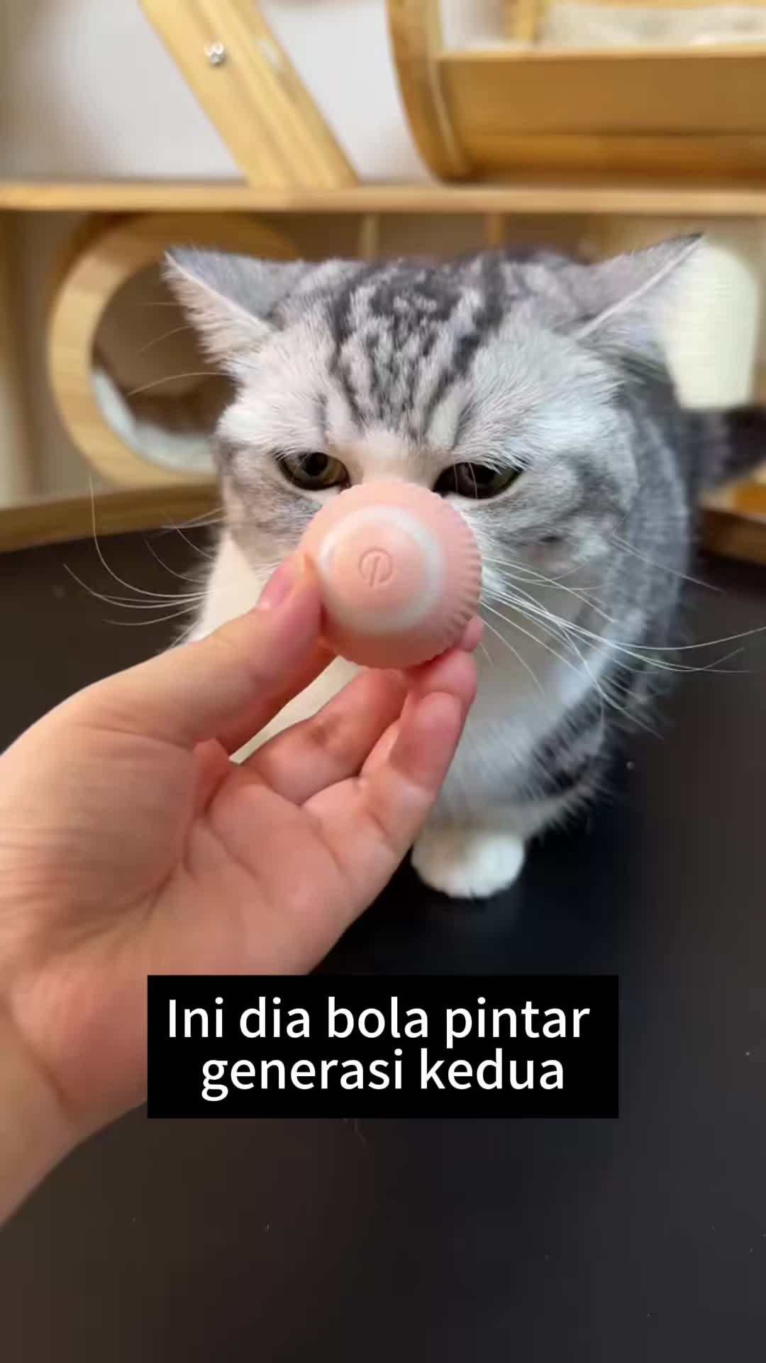 [COD]Mainan Kucing Interaktif Bola Berputar Otomatis Listrik dengan Ekor Tikus PalsuInteractive Rolling Cat Toys Automatic Ball Pet Toys Electric Self Moving Imitate Mouse Tail Toy  Automatic Rolling Ball for Indoor CatsRechargeable electric Smart Cat Toy