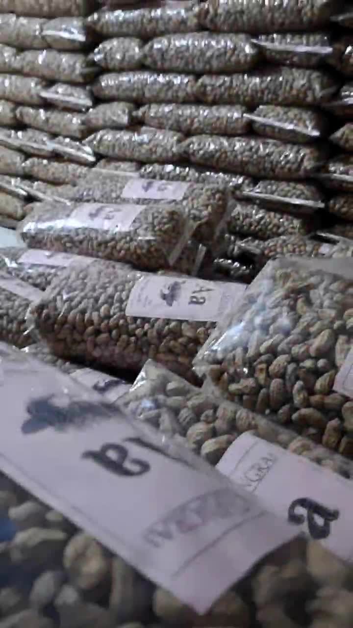 KACANG SANGRAI BENDO BY NB 1KG