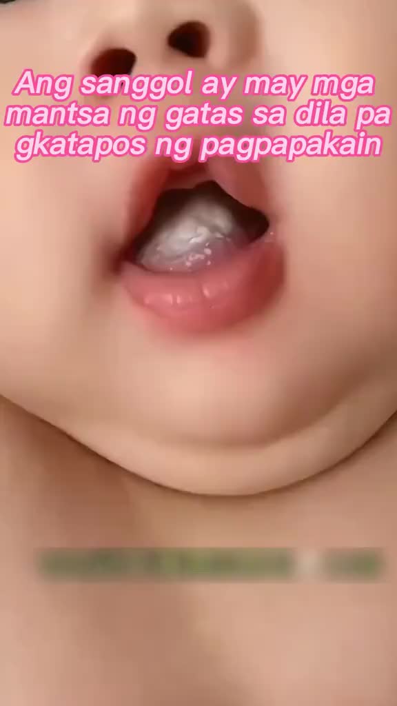 Kasa Pembersih Lidah 6 PCS Bayi Baby Oral Cleaner Baby Cleaning Finger Brush GJ-561 Sikat Gigi Kasa Jari Sekali Pakai Sikat Jari Lembut Kebersihan Mulut Tisu Pembersih Gusi Jari Tempat Tidur Bayi Sikat Lidah Lapisan Perawatan