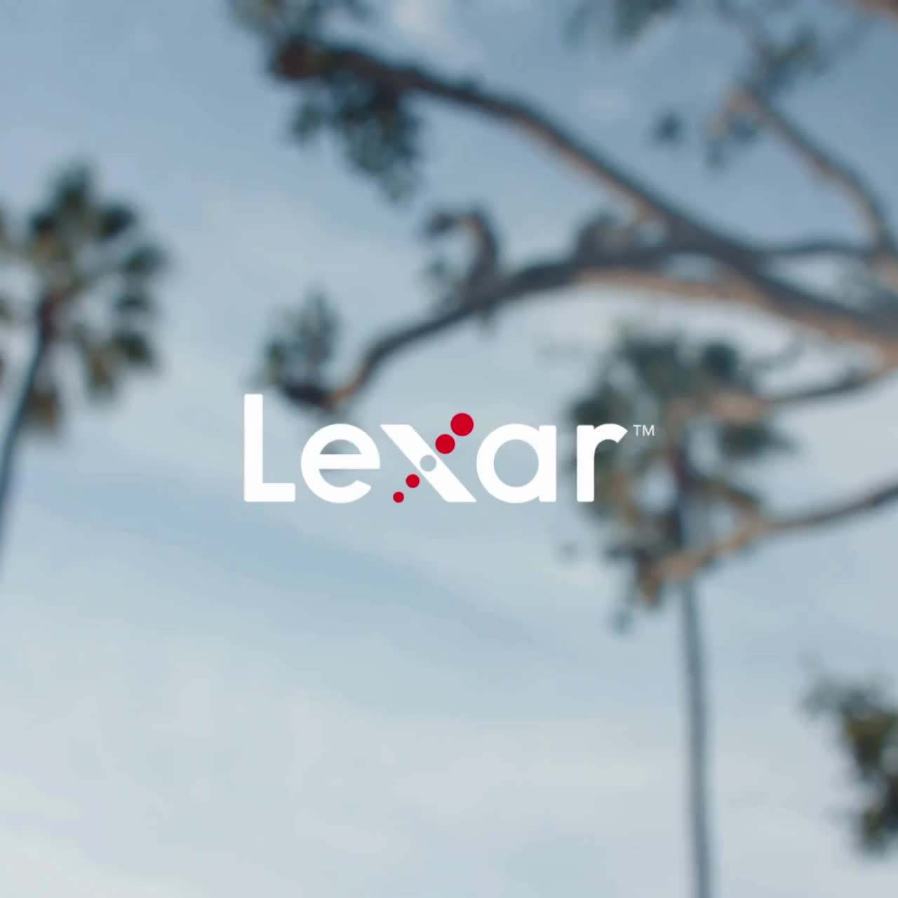 Lexar JumpDrive Dual Drive D400 USB 3.2 Type-C - 64GB