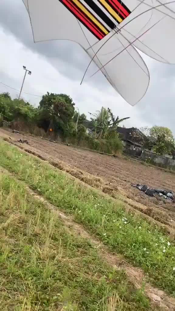 Bebean Bali 1 meter kesukaan anak dan mudah terbang