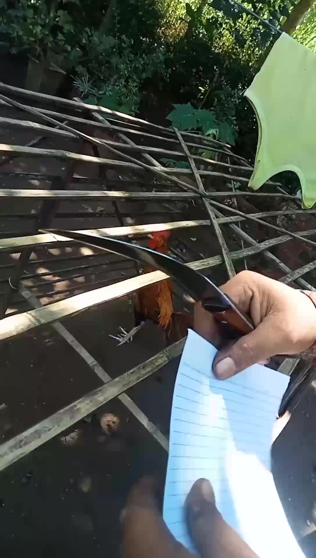 pengupas dan pemotong buah