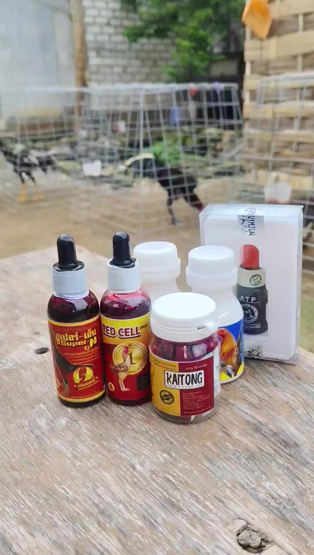 Kaitong Doping Ayam Juara Isi 50 Original Thailand Penambah Stamina & Akurasi Pukulan