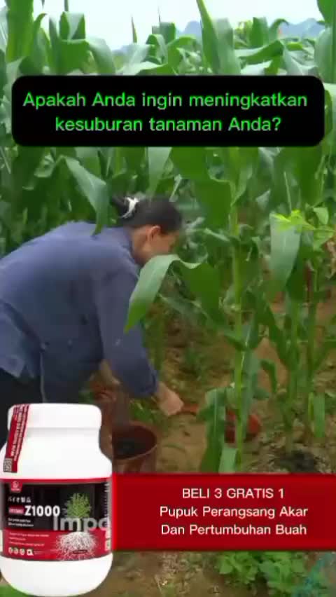 Pupuk Dasshu Z1000 PROMO BELI 8 Botol Lebih Murah Pupuk Organik Jepang