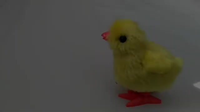 MAINAN ANAK AYAM TANPA BATERAI MAINAN ANAK AYAM PUTAR