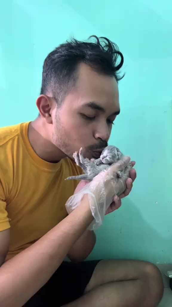 [2PCS] PAKET HEMAT ALL IN ONE 2 PCS BY PROTEMA| VITAMIN HARIAN KUCING | Kesehatan Imun, Bulu, Jantung, Mata, Pencernaan, Urinari; +Nafsu Makan | 165gr x 2pcs | Makanan & Snack Kucing