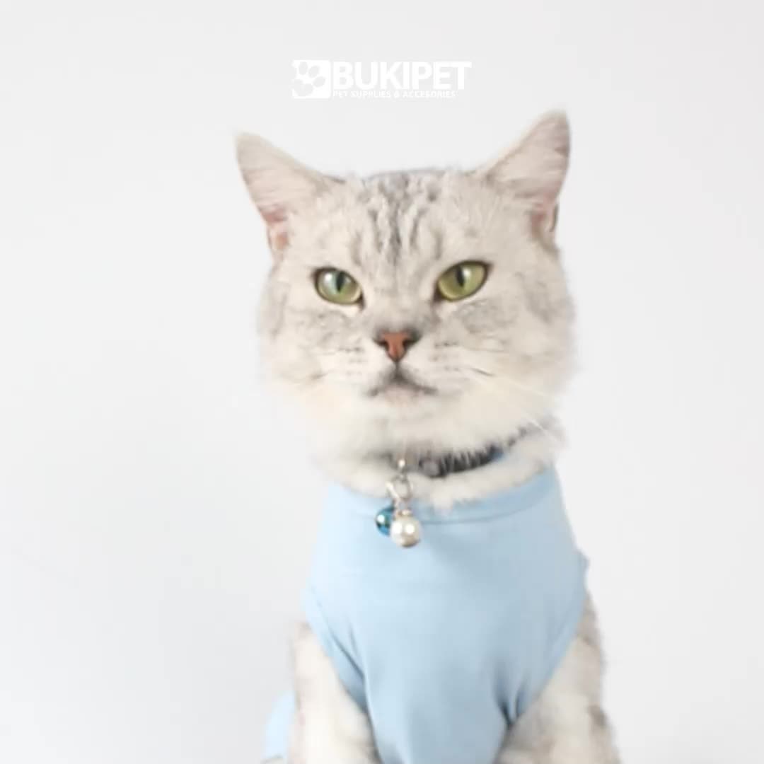 baju kucing lucu gemoy murah aksesoris hewan peliharaan - TANK TEDDY HYPE STYLE SERIES