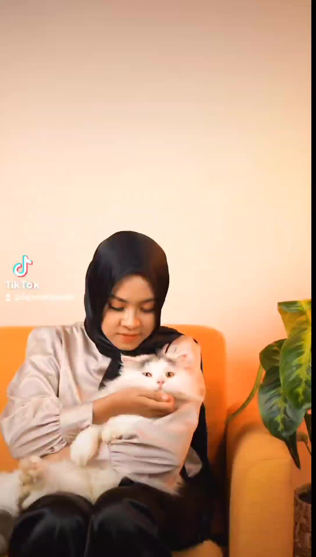 Sinbiotik Proact_digestiv 30ML makanan bayi kucing