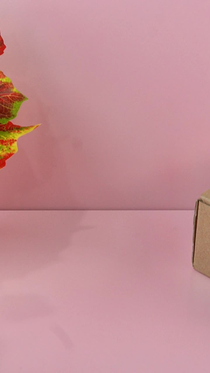 Kalkulator Mini Pastel Lucu 8 Digit Tenaga Surya Portabel untuk Sekolah & Kantor CA-0910 beli  peralatan  sekolah kalkulator  warna alat  sekolah  biru Kalkulator alat  belajar
