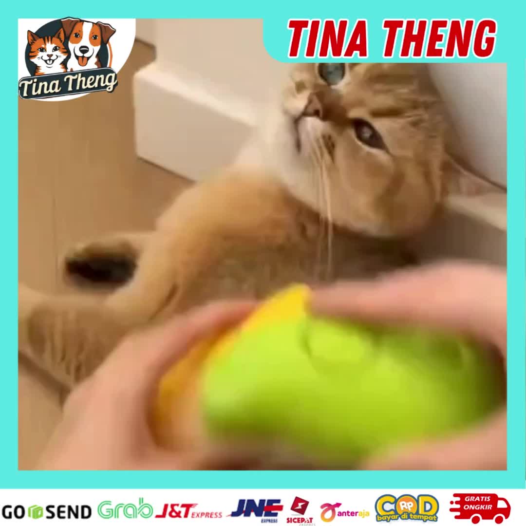 Sisir Uap Kucing Sikat Silikon Anjing Sisir Mandi Pijat Hewan Pet Grooming Brush Spray - 【COD】3 In 1 Sisir Uap Kucing Sisir Kucing Sisir Kucing Bulu Rontok Brush Kucing Pet Grooming Brush sisir  uap  kucing squeegee  cleaning  dog  hair