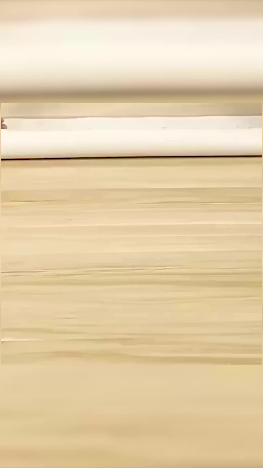 NITORII Japan Alas Adonan Kue Silikon Motif Beruang Lucu Anti Selip Food Grade BPA Free 40x50 CM Tahan Panas 230°C & Dingin -40°C Multifungsi untuk Menguleni & Memasak Kue