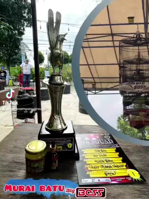 Power Murai juara suplemen penggacor burung SeketikaVitamin suplemen burung murai batuberkicau