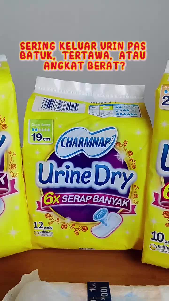 Charmnap Urine Dry Charm Nap Urinedry Pembalut 23 cm isi 10 Pads
