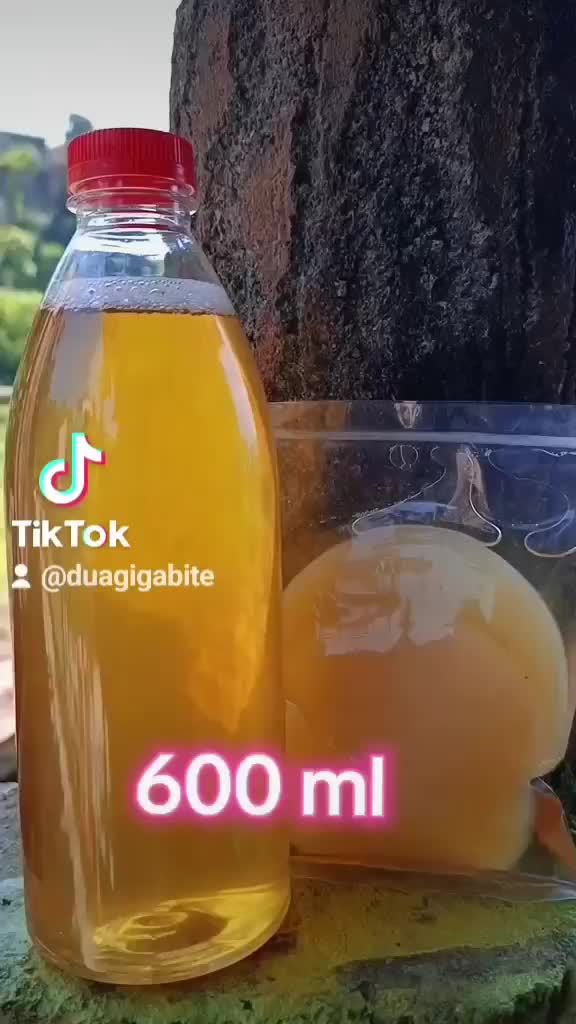 HIGH air starter kombucha 600 ml