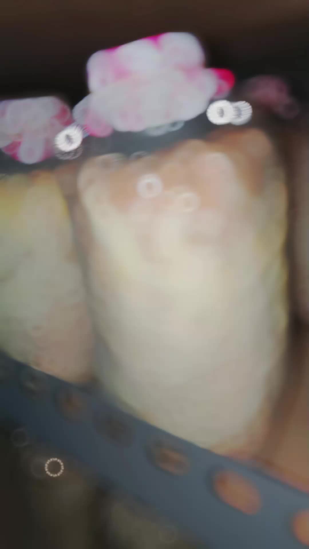Bibit Benih Jamur Tiram Coklat F2 Oyster mushroom seeds Untuk tanam pada media Bibit tumbuh Sayur Jamur bibit jamur tiram serbuk kayu Jagung Padi