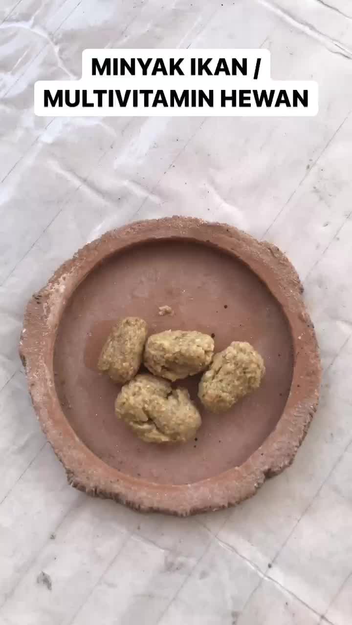 Minyak Ikan Supplement Makanan / Minyak Ikan Anjing Kucing Dan Reptil
