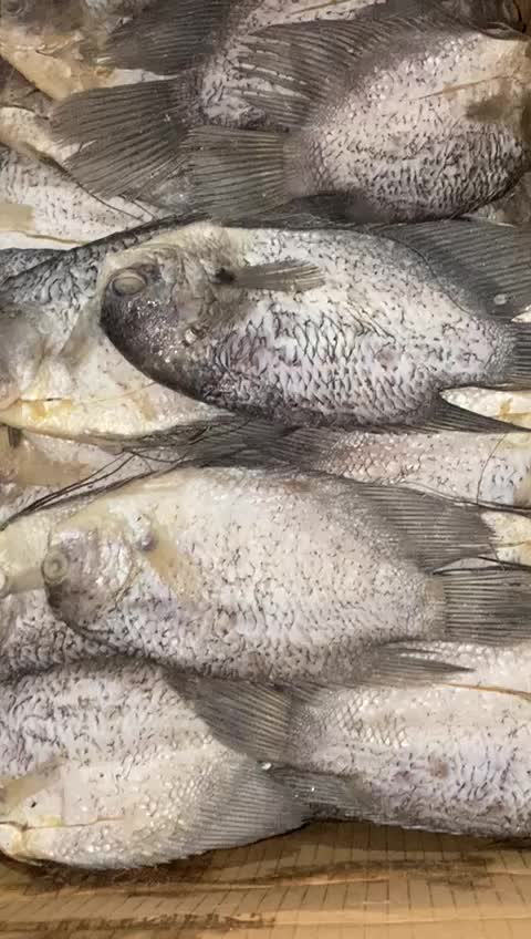 IKAN ASIN  SEPAT GURAME  rasa gurih enak dan nikmat KeringMakanan