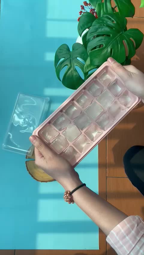 Cetakan Es Batu Silikon Tutup | Ice Cube Tray Silicone Push w/ Lid