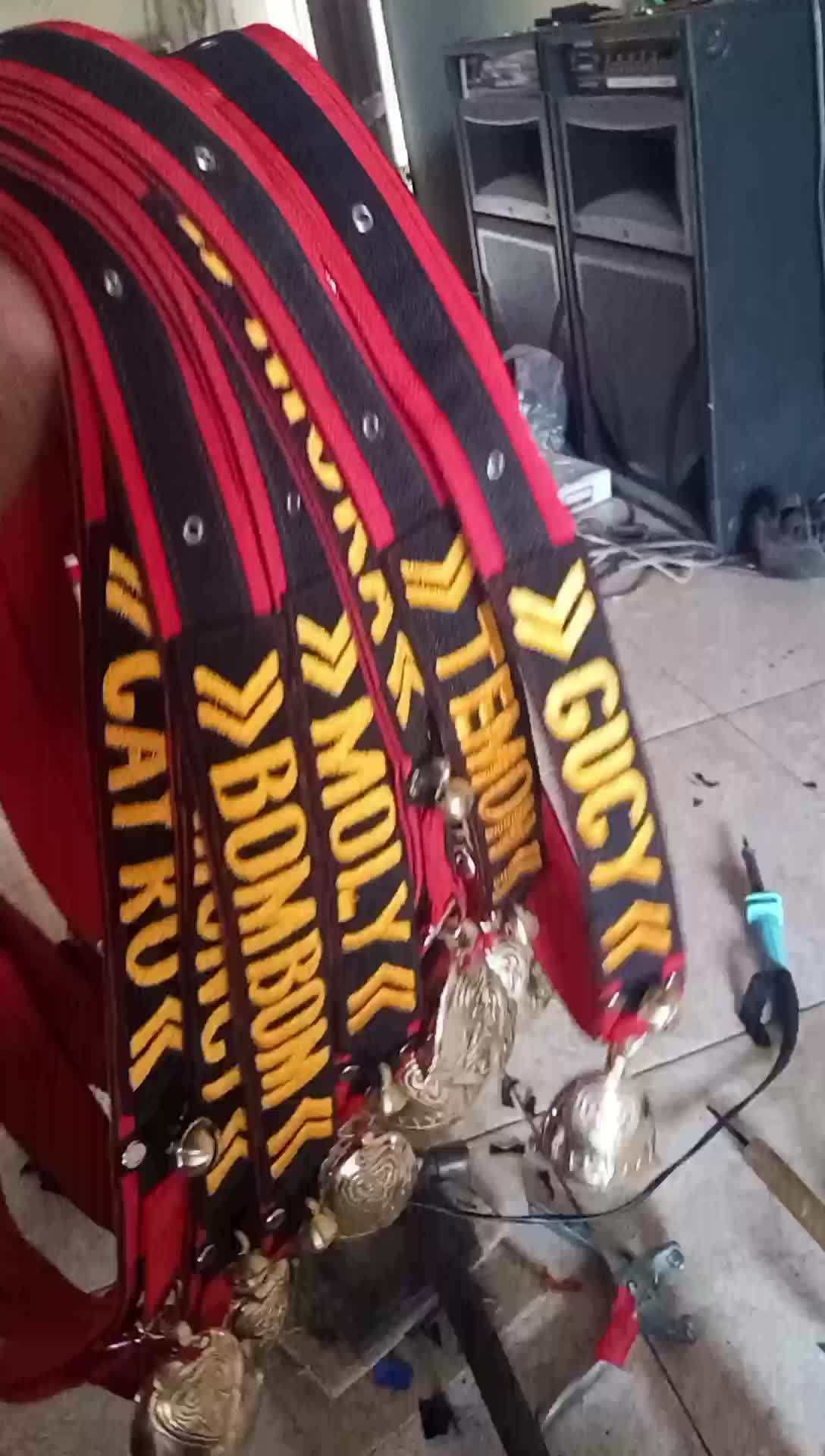 KALUNG SAPI