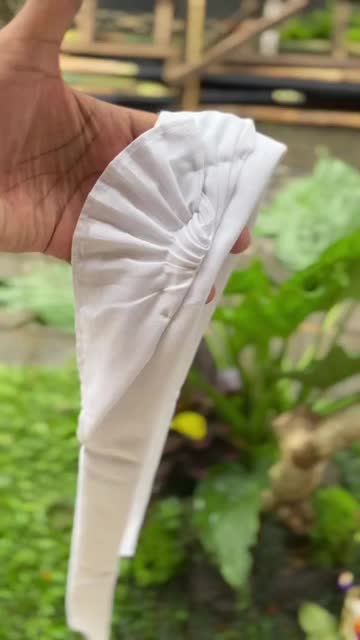 Udeng putih jadi rimpit alep