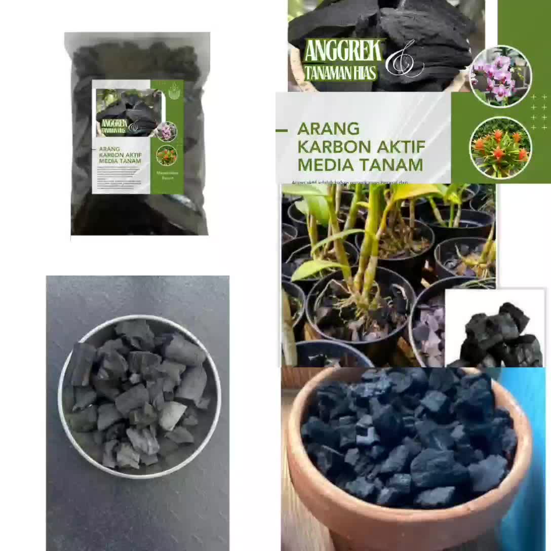 Arang Aktif untuk Media Tanam Anggrek 1kg dengan 2 pcs Guano Bantal - Pupuk, Air Tanaman
