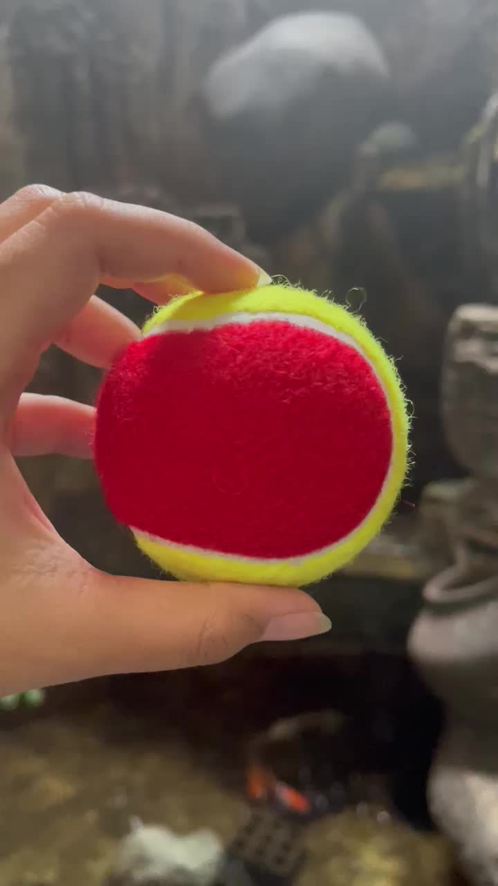 Bola Tenis Latihan Anak Anak Merah 3-6 Tahun [1]