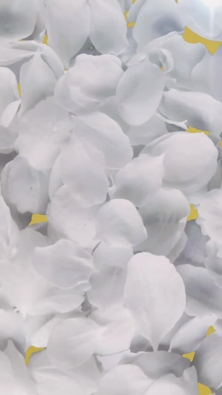 LUMIWHITE - Sunscreen Essence SPF 50 PA+++