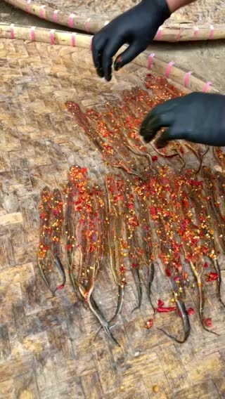 (Belum Matang) COBEK DENDENG BELUT KHAS SUNDA KEMASAN 70gr Makanan Instan Siap Santap
