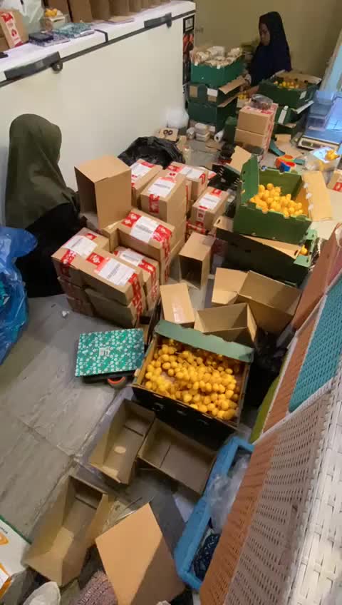 Buah Kurma Muda Barhi Segar Kuning Mengkal Bukan Frozen