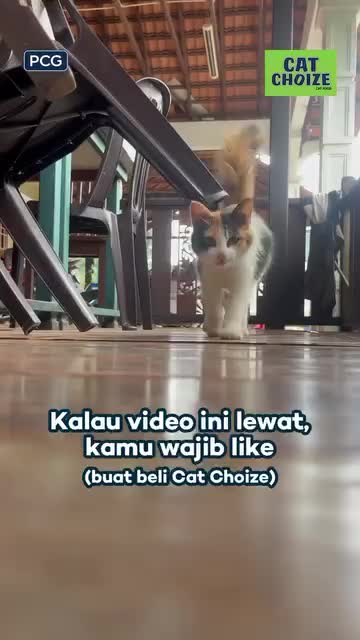 CAT CHOIZE KITTEN SALMON- MAKANAN KUCING 1kg