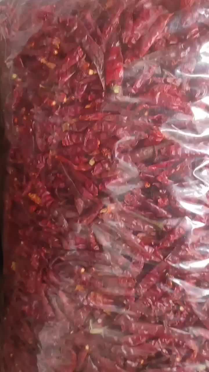 Paket Hemat 5 Kg Cabe Teja Kering Super Pedas Royko Halal Tidak Ada Alergi - Bubuk, Goreng, Bahan