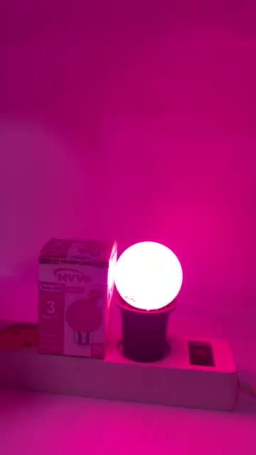Lampu bohlam LED warna warni lampu hias dekorasi 3 watt dan 5 watt