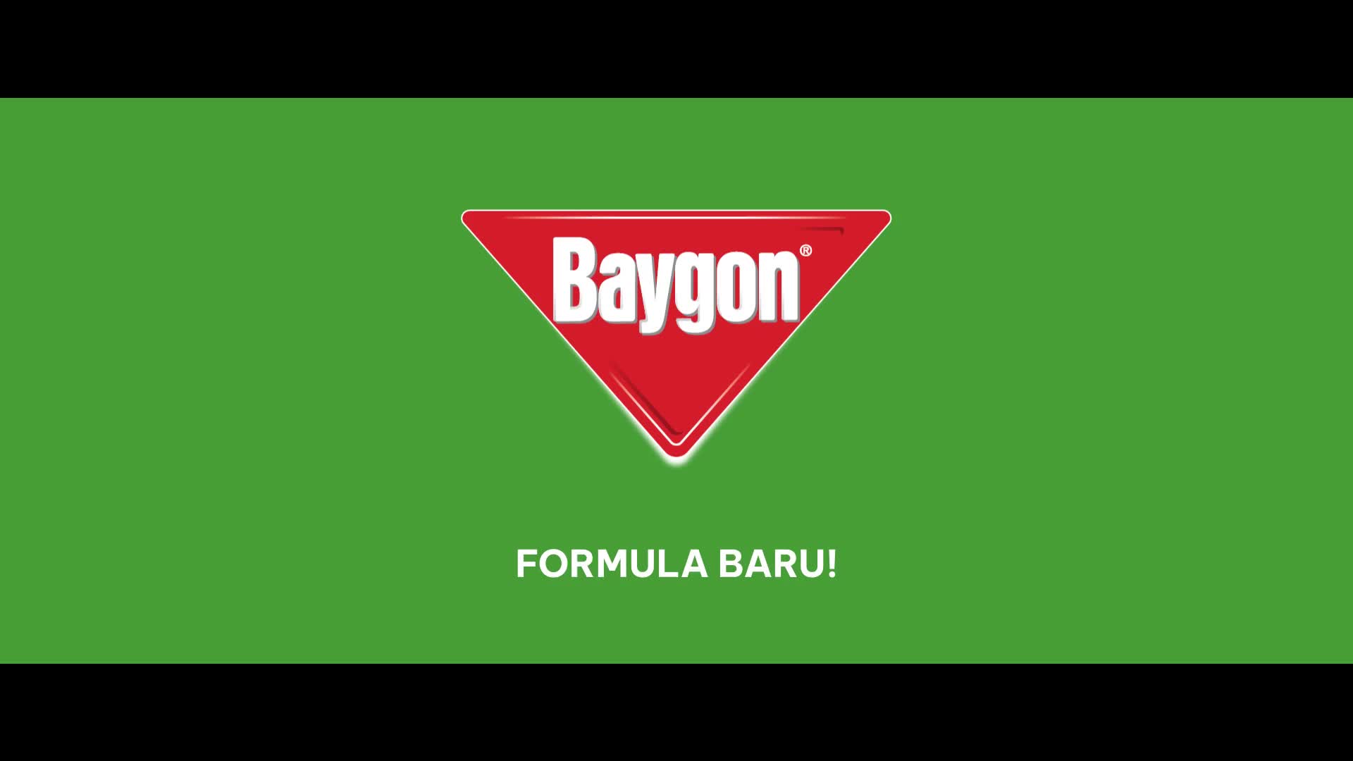 Baygon Aerosol Zen Garden 600ml x2