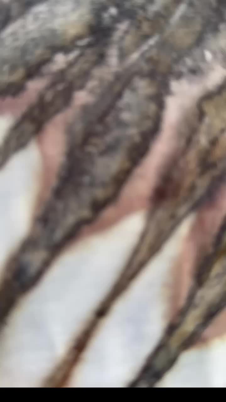 Batik abik paket 2 daster sematakaki ld 130 super jumbo bahan kaos Wanita Busui