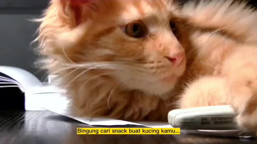 MARKOTOPS La Creme Snack Kucing Liquid 4pcs x 15gr